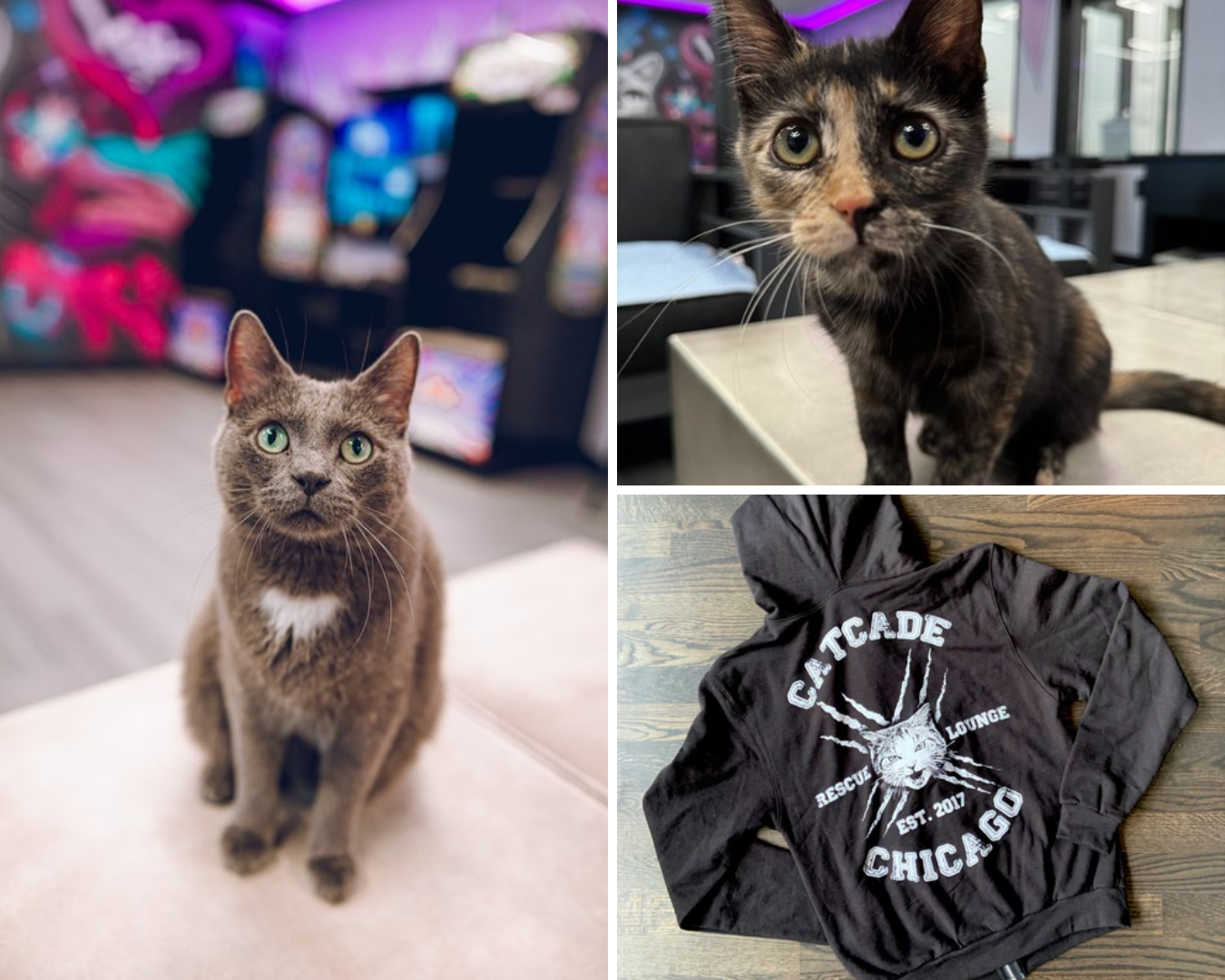 The Catcade