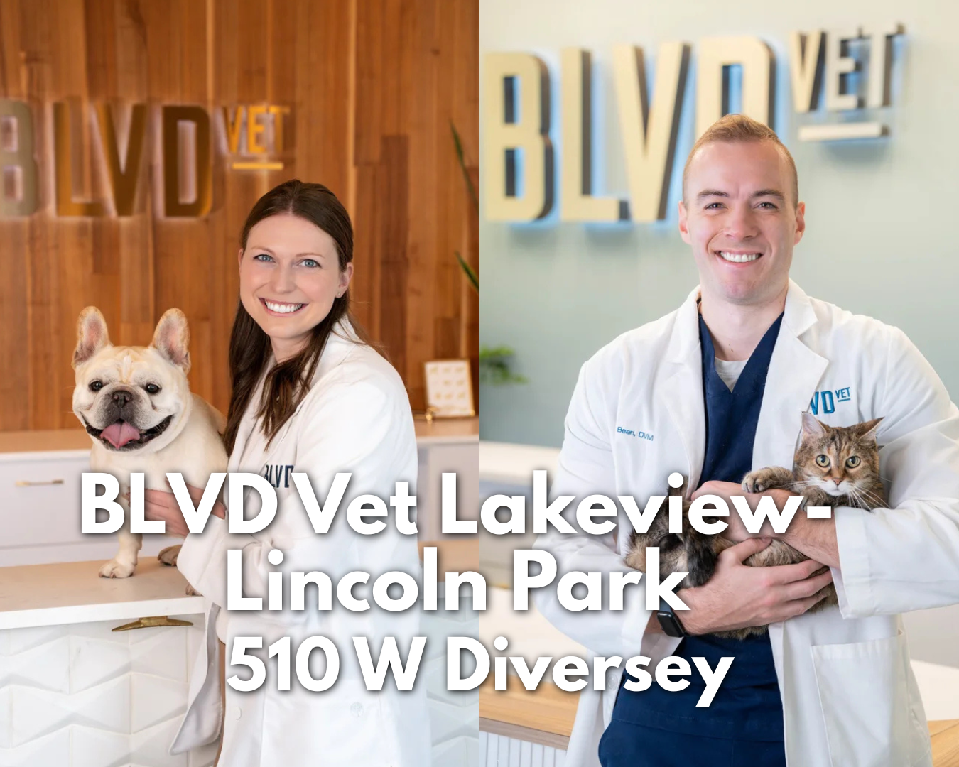 Blvd Vet