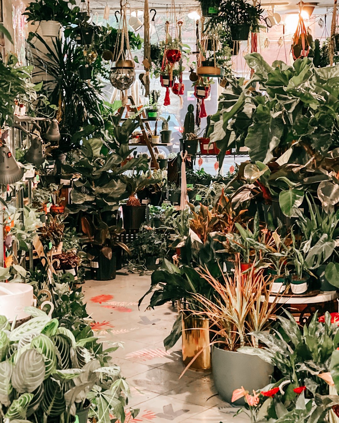 plant stand collective